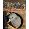 Vtáčie búdky a kŕmidlá - Ivan Kňaze