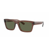 Ray-Ban RB4396 WARREN 66789A