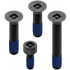 QUAD LOCK Anti-Theft Screw Kit