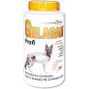 Gelacan Plus Profi 1000g