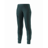 Dámske nohavice DYNAFIT Traverse Hybrid DST PNT W