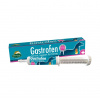 MERVUE GASTROFEN doplnok pre kone - pasta 80 ml