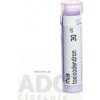 Rhus Toxicodendron gra.1 x 4 g 30CH
