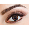 Eyecasions - Misty Brown | mesačné + 60ml roztok + púzdro zadarmo