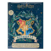 Cinereplicas Harry Potter Advent Kalendář Wizarding World 2022