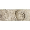 Obklad do kúpeľne mySPOTTI aqua Fossil 120x45 cm
