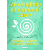Léčivé bylinky na obnovení zdraví - Vadim Tschenze
