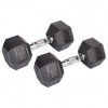 Hex Rubber Dumbell činka 1 pár hmotnosť 10 kg - 10 kg