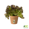 Kvetináč Green Basics - mild terra 11 cm