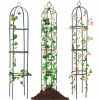 Kovová pergola Wideshop ART-167 oblúk 200 cm