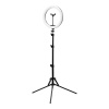 Eranti Ring light 30 cm 10W
