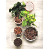 Záhradná pôda - Ground Ground Dusen pre monster Philodendron Sylgonów super set 5l set (Ground Ground Dusen pre monster Philodendron Sylgonów super set 5l set)