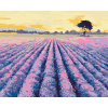 ZUTY Maľovanie podľa čísel LEVANDUĽOVÉ POLE SO STROMOM Rámovanie bez rámu a bez vypnutia plátna Rozmer 80x100 cm