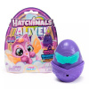 Spin master Hatchimals neónová dúha