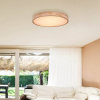 Globo Rainer LED stropné svietidlo, Ø 60 cm, efekt dreva, kov, CCT - 41745-48