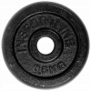 inSPORTline Castblack Liatinový kotúč 0,5 kg 30 mm