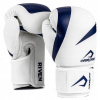 Blue Toy Kids Boxing Rukavice (Boxerská prilba Dragon Pro 604486 XL)