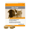 Alfavet Dia Tab žuvacie tbl. 20 x 5,5 g
