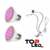 HIBRIGHT BASIC LED lampa na všetky rastliny, 12W, dvojramenná, fialová