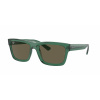 Ray-Ban RB4396 WARREN 6681/3