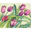 Zuty Diamantové maľovanie FIALOVÉ TULIPÁNY 40x50 cm vypnuté plátno na rám