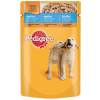 PEDIGREE vrecko JUNIOR s kuracím mäsom 100 g