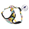 Postroj pre psa Amiplay Discovery BeHappy XL - donut