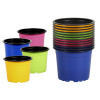 Nohel garden kvetináč sadbový COLOR/BLACK 9cm 12ks