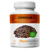 Coriolus extrakt MycoMedica 90 kapsúl á 500mg Sila: NORMÁLNY