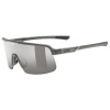 Uvex Okuliare Dyrt Smoke Matt/smoke (s5330955515)