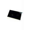 LCD Display Samsung Galaxy Tab P1000/P3100
