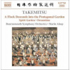 CD Bournemouth Symphony Orchestra: A Flock Descends Into The Pentagonal Garden • Spirit Garden • Dreamtime