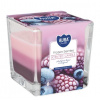 Aura Bispol Frozen Berries vonná sviečka 170g