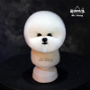 Mr Jiang Hlavová parochňa Bichon Head Wig Mr.Jiang biela
