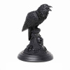 Alchemy Gothic Svietnik Poeov havran