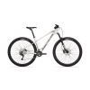 Rock Machine Torrent 50-29 2022