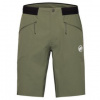 Mammut Aenergy Light SO Shorts Men zelená 54