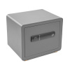 G21 Trezor na odtlačok prsta 380 x 310 x 300 mm TR-G21-30XHZ