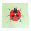 Montessori Puzzle - lienka
