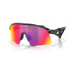 OAKLEY STUNT WING OO9519 01
