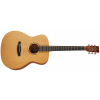 TANGLEWOOD TR 3