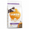 IAMS Cat Kitten Kurča 2kg
