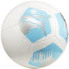 Futbalová lopta Puma Big Cat 84214 04