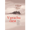 V prachu ciest