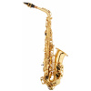 BACIO INSTRUMENTS SA-01L