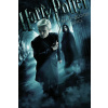 Umelecká tlač Harry Potter and The Half-Blood Prince - Draco Malfoy, 26.7 × 40 cm