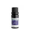 BIO Rozmarín éterický olej - Nobilis Tilia Objem: 10 ml