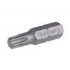 Bit STAHLBERG T 10 25mm S2