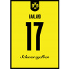 Superfutbal Maketa dresu Borussia Dortmund, žltá Rozmer: A4, Meno a číslo: Haaland 17