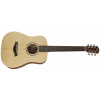 Taylor BT1e